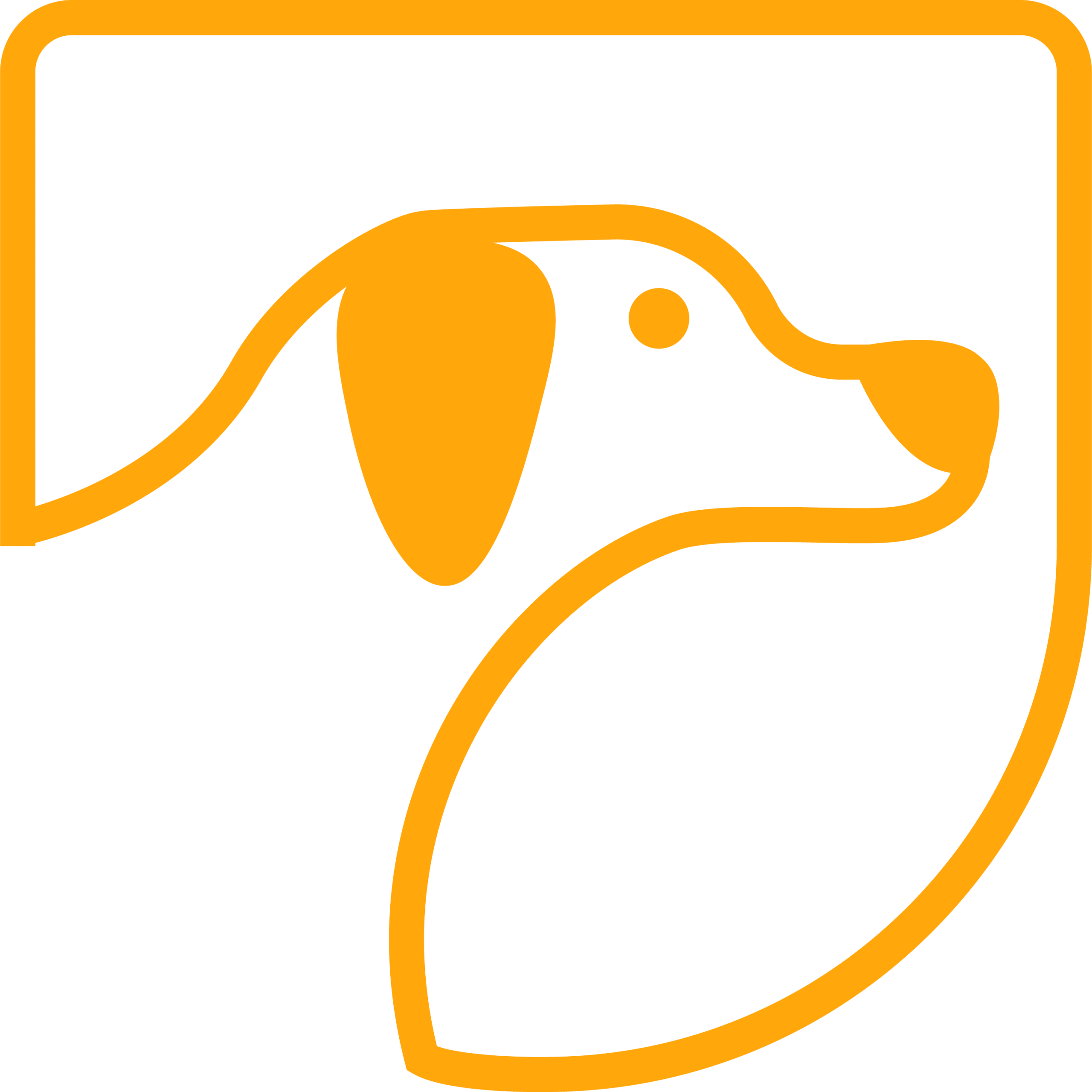 SERVICIOS DE CREMACIÒN DE MASCOTAS