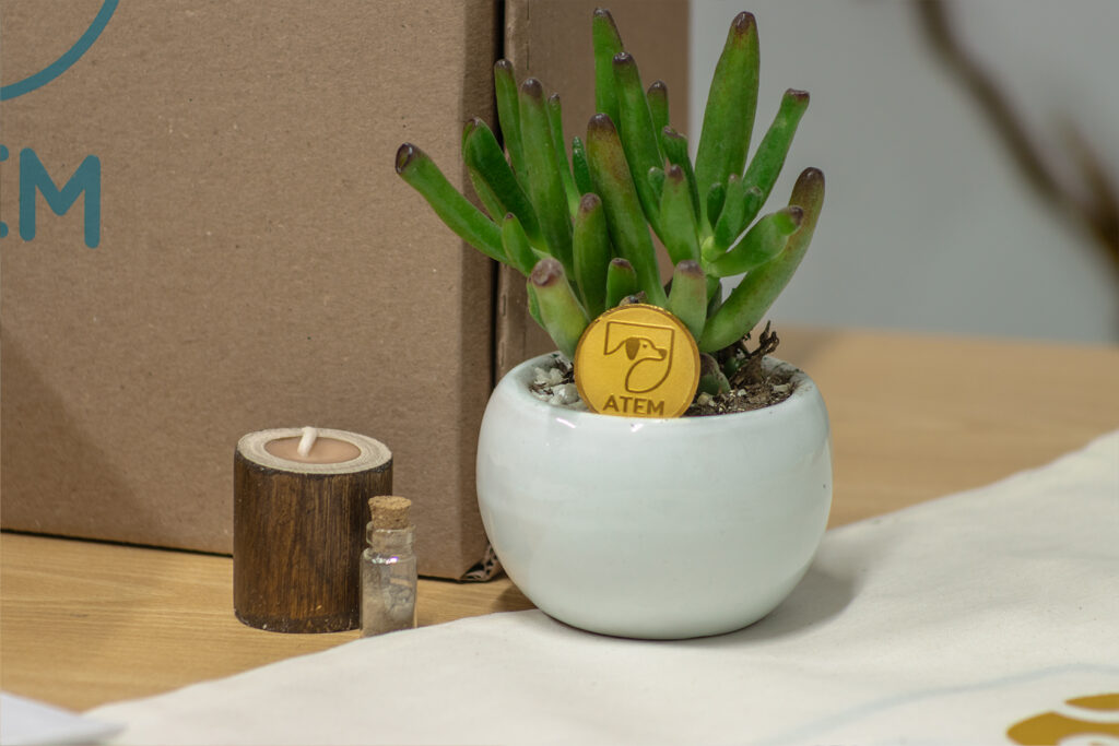 KIT-PIN, VELAS Y CONTENEDOR